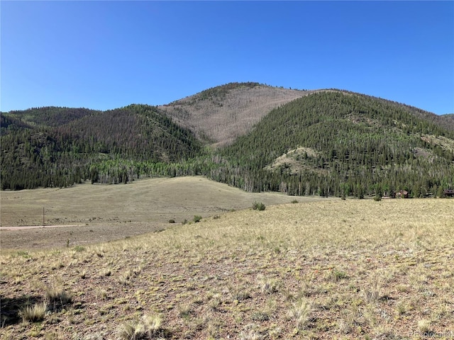 442 Deep Creek Rd, Creede, CO 81130 - photo 4
