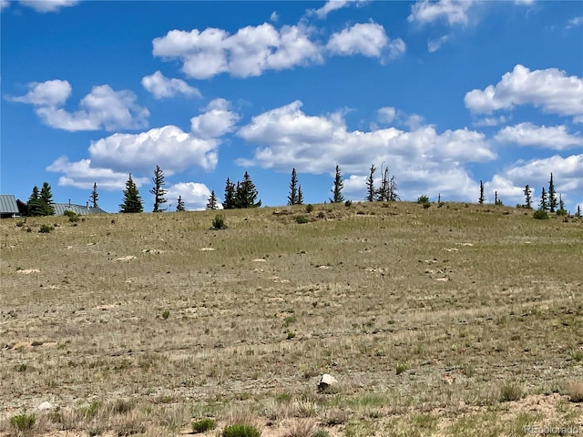 442 Deep Creek Rd, Creede, CO 81130 - photo 7