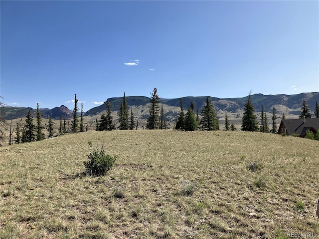 442 Deep Creek Rd, Creede, CO 81130 - photo 11