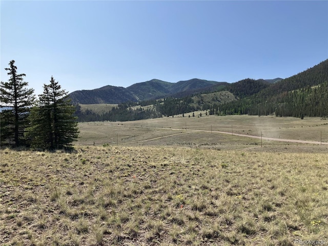 442 Deep Creek Rd, Creede, CO 81130 - photo 12