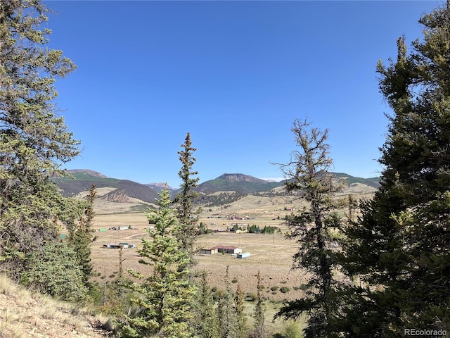 442 Deep Creek Rd, Creede, CO 81130 - photo 15