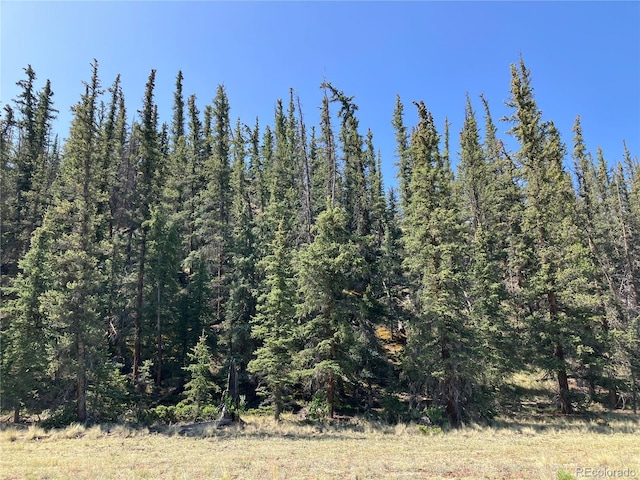 442 Deep Creek Rd, Creede, CO 81130 - photo 23