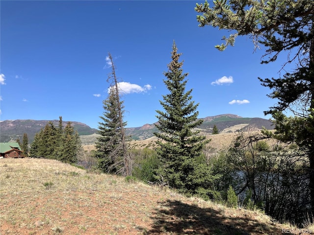 442 Deep Creek Rd, Creede, CO 81130 - photo 24