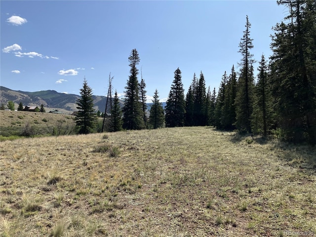 442 Deep Creek Rd, Creede, CO 81130 - photo 27
