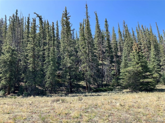 442 Deep Creek Rd, Creede, CO 81130 - photo 30
