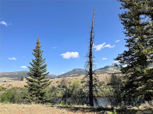 442 Deep Creek Rd, Creede, CO 81130 - photo 33