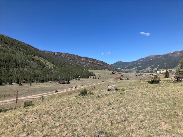 442 Deep Creek Rd, Creede, CO 81130 - photo 34