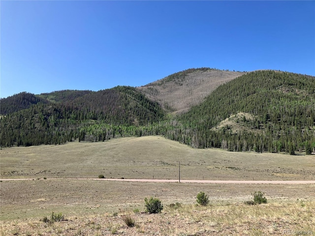 442 Deep Creek Rd, Creede, CO 81130 - photo 36