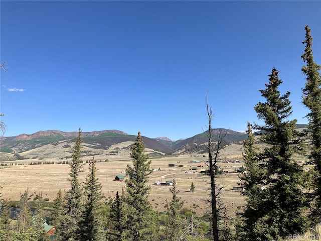 442 Deep Creek Rd, Creede, CO 81130 - photo 39