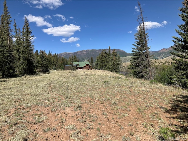 442 Deep Creek Rd, Creede, CO 81130 - photo 40