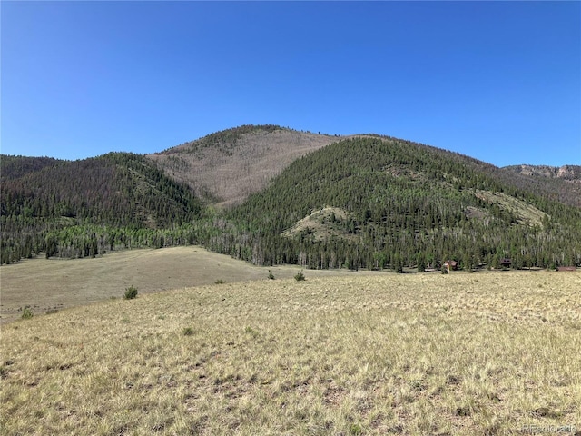 442 Deep Creek Rd, Creede, CO 81130 - photo 43