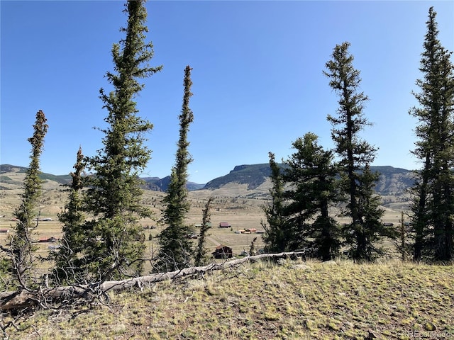 442 Deep Creek Rd, Creede, CO 81130 - photo 44