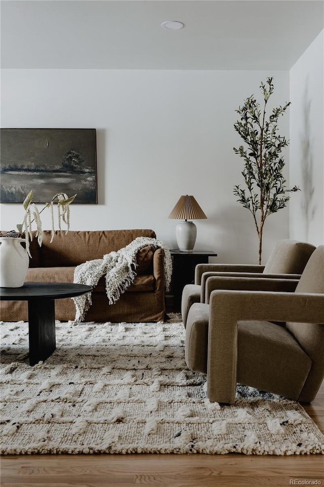 living room with wood-type flooring