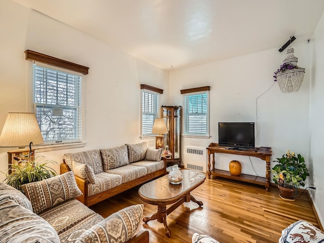 living room with wood-type flooring and radiator