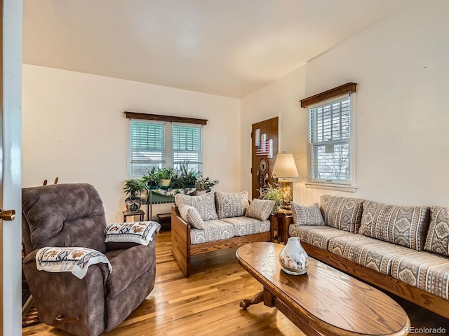 living room with light hardwood / wood-style floors