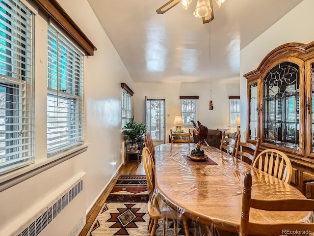 dining area featuring ceiling fan, radiator heating unit, and hardwood / wood-style floors