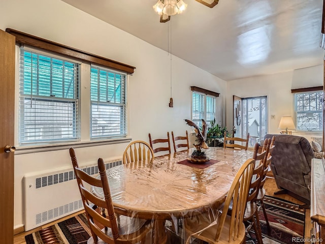 dining space with radiator heating unit