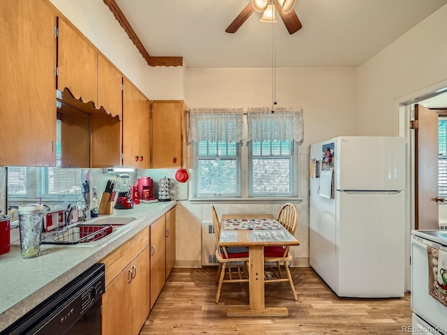 kitchen with white appliances, light hardwood / wood-style floors, a healthy amount of sunlight, and sink