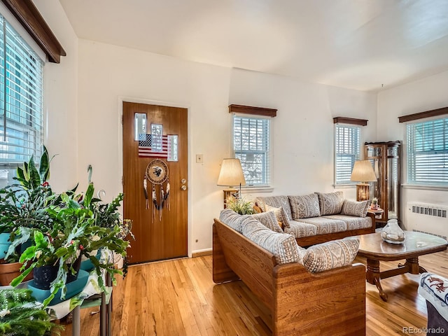 living room with radiator, a wealth of natural light, and light hardwood / wood-style flooring