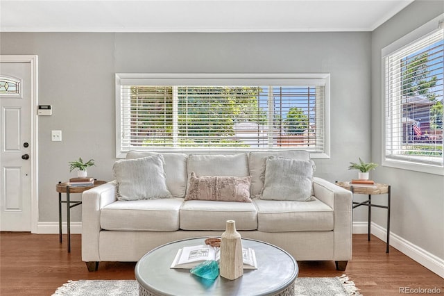 living room featuring wood-type flooring and ornamental molding