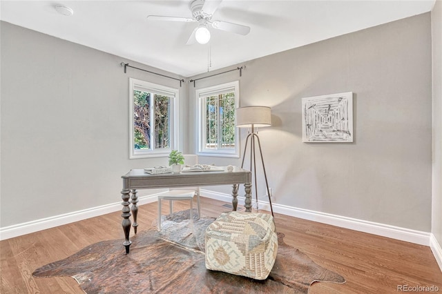 office space with hardwood / wood-style flooring and ceiling fan