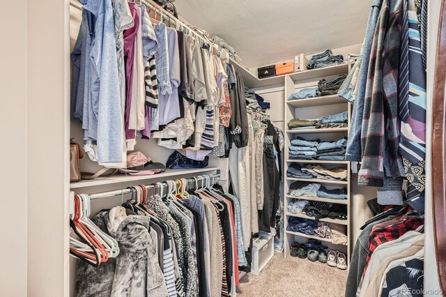 557 Highpoint Cir, Black Hawk, CO 80422 - walk in closet with carpet