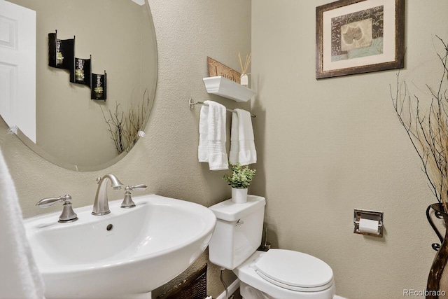 1630 Spring Water Pl, Highlands Ranch, CO 80129 - photo 15