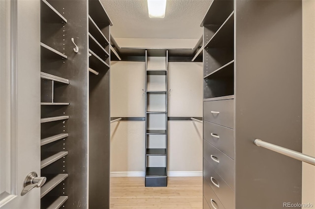 walk in closet featuring light wood-type flooring