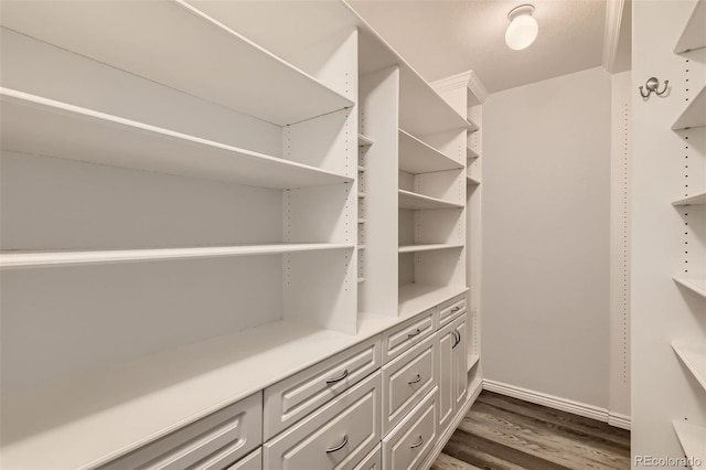 spacious closet featuring dark wood-style floors