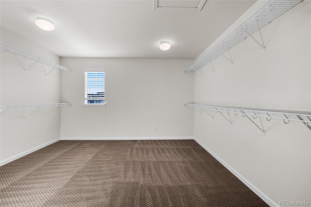 spacious closet with carpet flooring