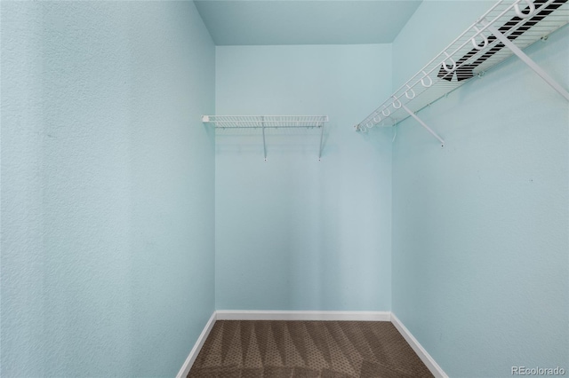 spacious closet featuring carpet floors