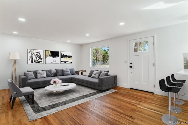 living room with light wood-type flooring