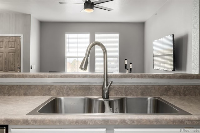 room details with sink and ceiling fan