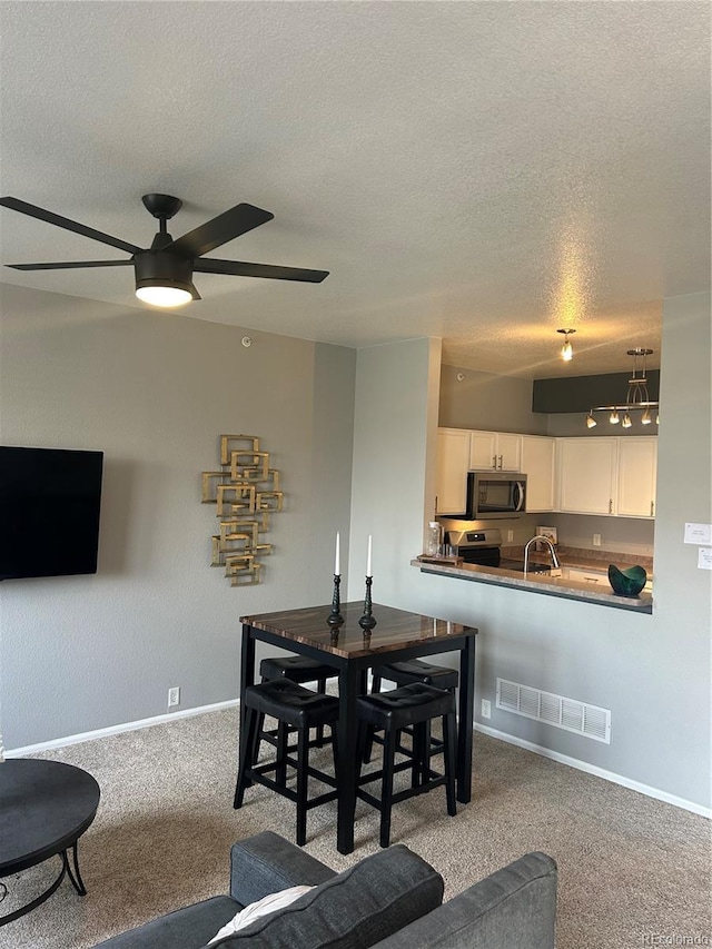 9758 Laredo St Unit 37C, Commerce City, CO 80022 - carpeted living area with a textured ceiling, baseboards, a ceiling fan, and a sink