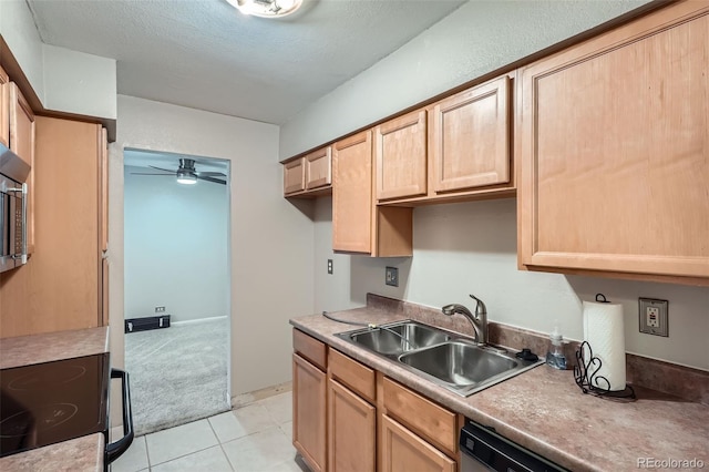4643 S Lowell Blvd Unit B, Denver, CO 80236 - photo 5