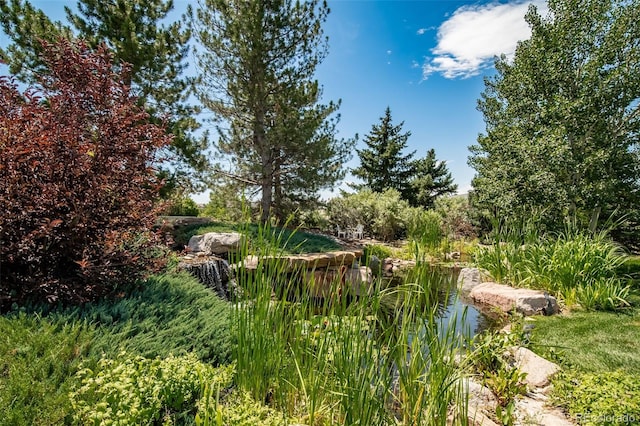 290 Commander Dr, Erie, CO 80516 - photo 4