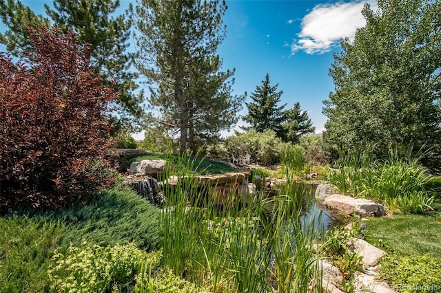 290 Commander Dr, Erie, CO 80516 - photo 5