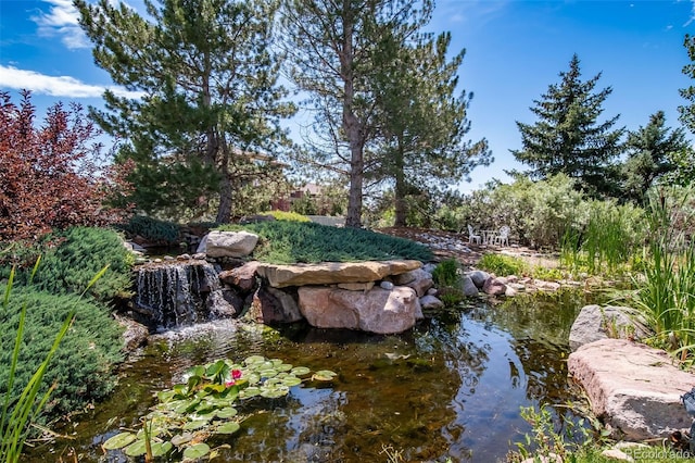 290 Commander Dr, Erie, CO 80516 - photo 6