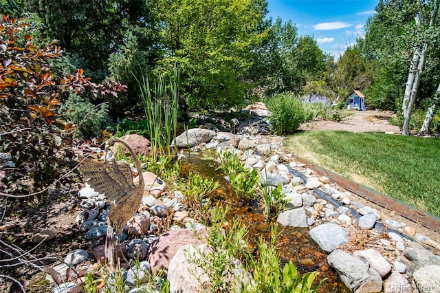 290 Commander Dr, Erie, CO 80516 - photo 9