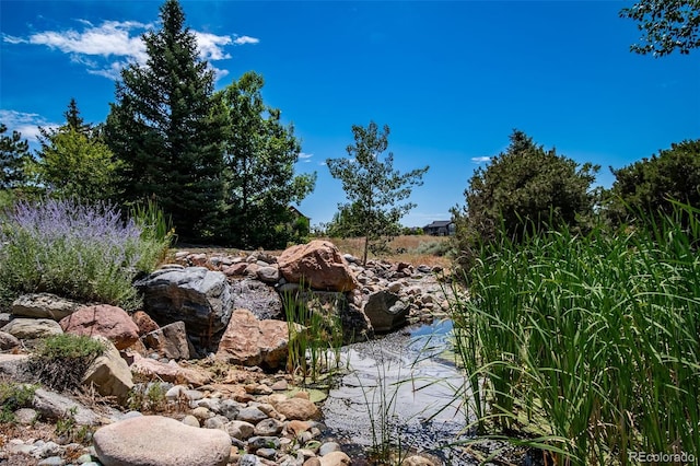 290 Commander Dr, Erie, CO 80516 - photo 12