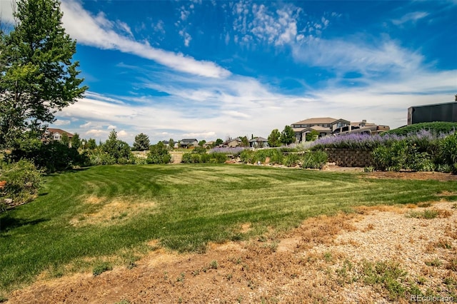 290 Commander Dr, Erie, CO 80516 - photo 14