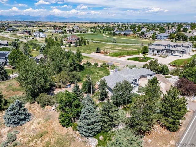 290 Commander Dr, Erie, CO 80516 - photo 23