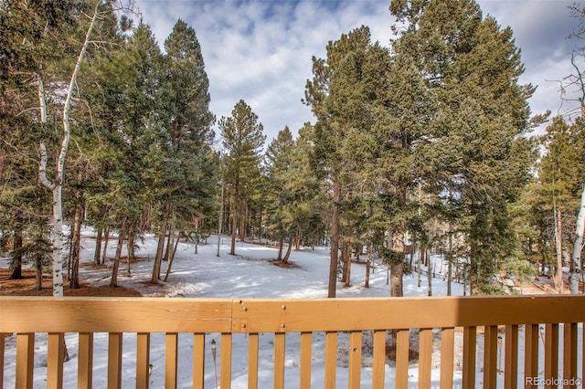 view of yard covered in snow