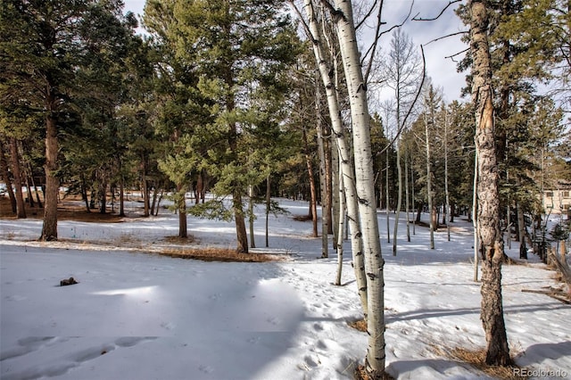 view of yard covered in snow