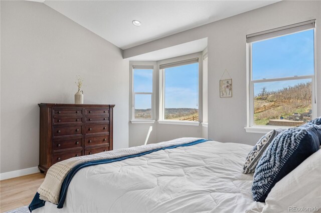 bedroom with baseboards and wood finished floors