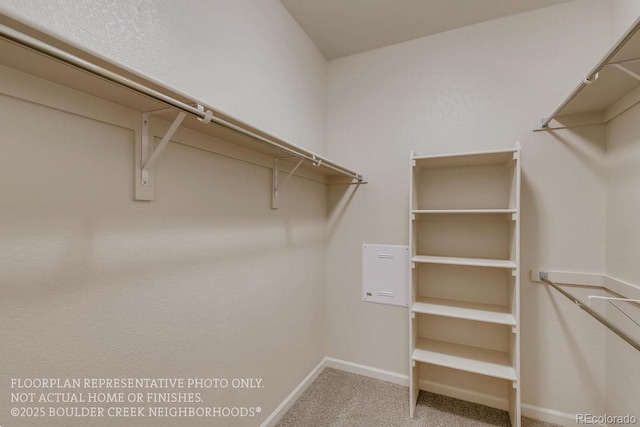 881 W 128th Pl, Westminster, CO 80234 - spacious closet featuring carpet floors