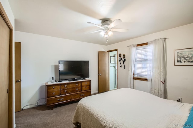 273 S 13th Ave, Brighton, CO 80601 - bedroom featuring dark colored carpet, a ceiling fan, and a closet