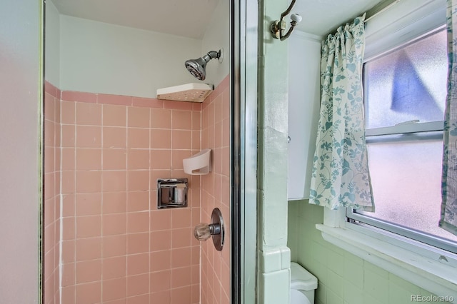 273 S 13th Ave, Brighton, CO 80601 - full bathroom with a shower and toilet