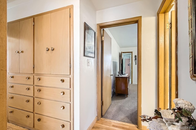 273 S 13th Ave, Brighton, CO 80601 - corridor with baseboards and light wood-style flooring
