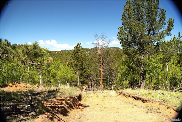 29 Dexter Cir, Cripple Creek, CO 80813
